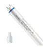 Philips LED Rör T8 MASTER (EM/Mains) High Output 8W 1050lm - 840 Kallvit | 60cm - Ersättare 18W